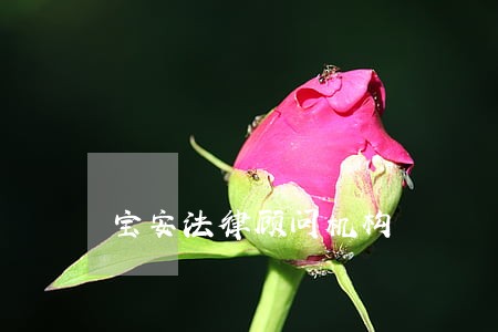 宝安法律顾问机构 宝安法律顾问机构
