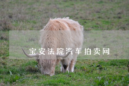宝安法院汽车拍卖网 宝安法院汽车拍卖网