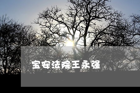 宝安法院王永强
