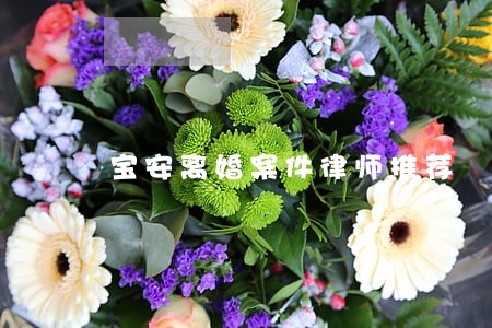 宝安离婚案件律师推荐 宝安离婚案件律师推荐