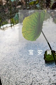 宝安离婚案律师咨询 宝安离婚案律师咨询