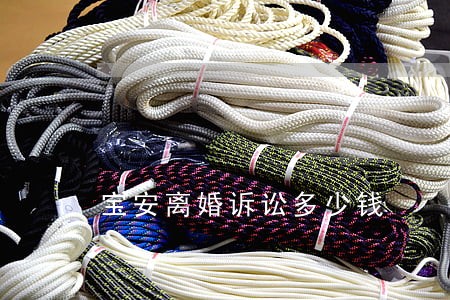 宝安离婚诉讼多少钱 宝安离婚诉讼多少钱
