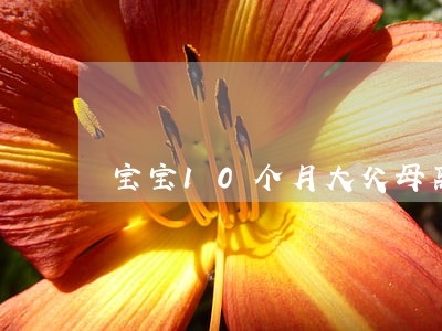 宝宝10个月大父母离婚 宝宝10个月大父母离婚
