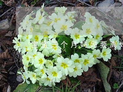 宝宝三个月妈妈要离婚 宝宝三个月妈妈要离婚