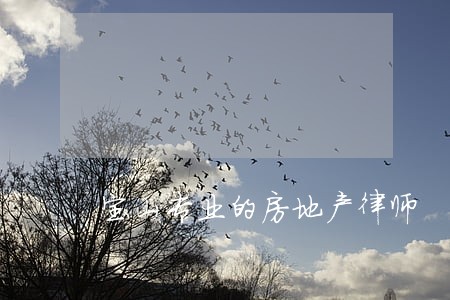 宝山专业的房地产律师