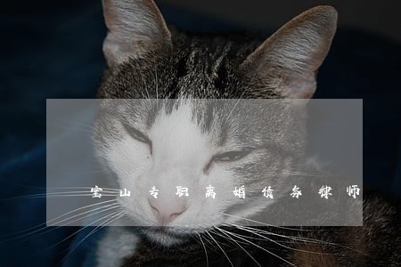 宝山专职离婚债务律师 宝山专职离婚债务律师