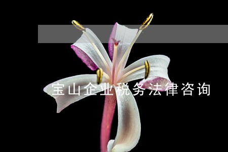 宝山企业税务法律咨询 宝山企业税务法律咨询