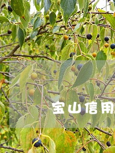 宝山信用卡逾期多久可以上班 宝山信用卡逾期多久可以上班