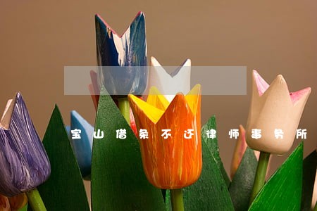 宝山借条不还律师事务所 宝山借条不还律师事务所