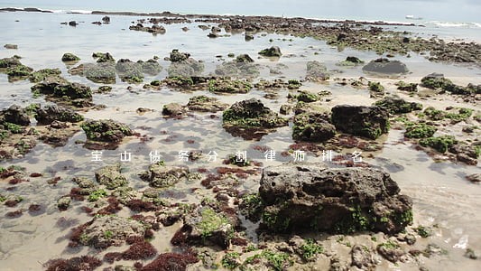 宝山债务分割律师排名 宝山债务分割律师排名