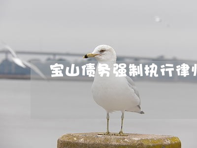 宝山债务强制执行律师 宝山债务强制执行律师