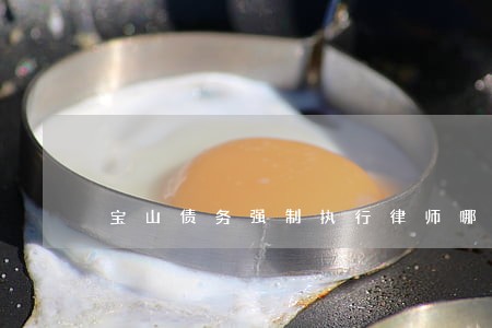 宝山债务强制执行律师哪里找 宝山债务强制执行律师哪里找