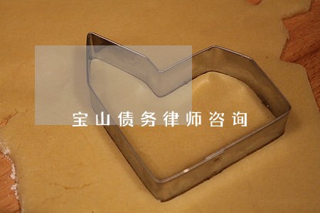 宝山债务律师咨询 宝山债务律师咨询