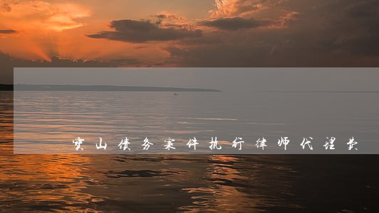 宝山债务案件执行律师代理费
