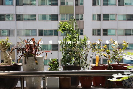 宝山债务纠纷律师费用 宝山债务纠纷律师费用