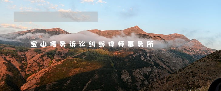 宝山债务诉讼纠纷律师事务所 宝山债务诉讼纠纷律师事务所