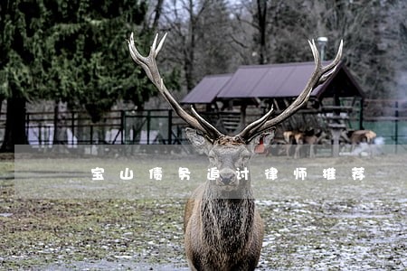 宝山债务追讨律师推荐 宝山债务追讨律师推荐