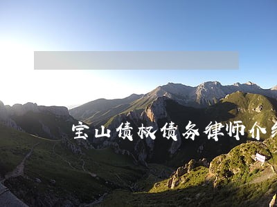 宝山债权债务律师介绍 宝山债权债务律师介绍