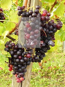 宝山债权债务律师多少钱 宝山债权债务律师多少钱