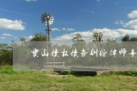 宝山债权债务纠纷律师事务所 宝山债权债务纠纷律师事务所