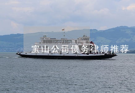 宝山公司债务律师推荐 宝山公司债务律师推荐