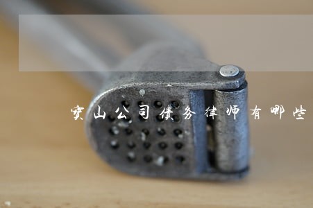 宝山公司债务律师有哪些 宝山公司债务律师有哪些