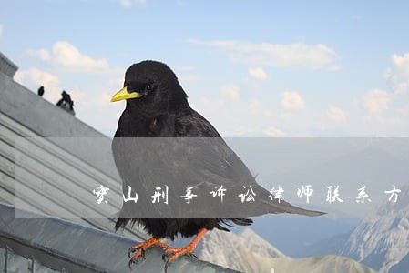 宝山刑事诉讼律师联系方式