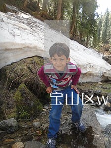 宝山区wto律师在线咨询 宝山区wto律师在线咨询