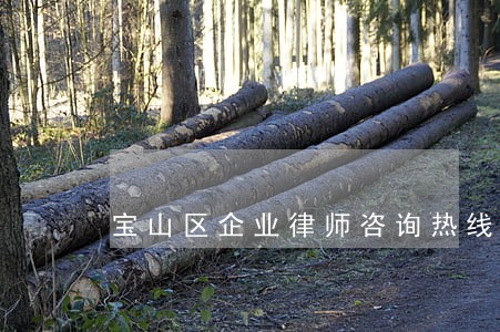 宝山区企业律师咨询热线 宝山区企业律师咨询热线