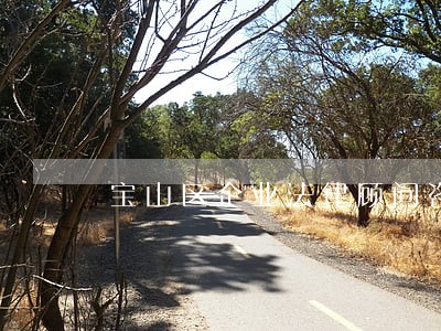 宝山区企业法律顾问咨询 宝山区企业法律顾问咨询