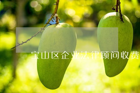 宝山区企业法律顾问收费 宝山区企业法律顾问收费