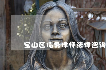 宝山区债务律师法律咨询 宝山区债务律师法律咨询