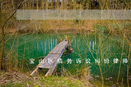 宝山区债务诉讼纠纷律师 宝山区债务诉讼纠纷律师