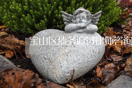宝山区债务追讨律师咨询