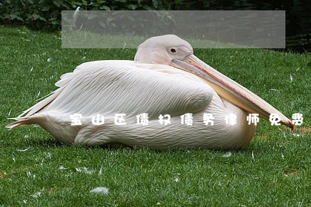 宝山区债权债务律师免费咨询 宝山区债权债务律师免费咨询