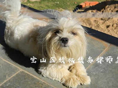 宝山区债权债务律师怎么收费 宝山区债权债务律师怎么收费
