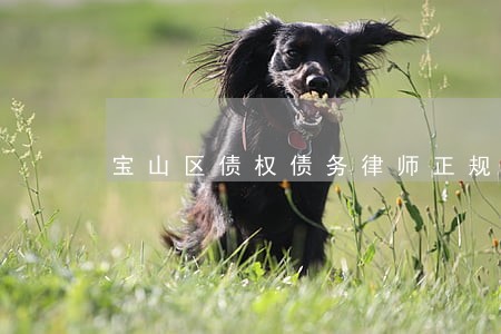宝山区债权债务律师正规专业律所 宝山区债权债务律师正规专业律所