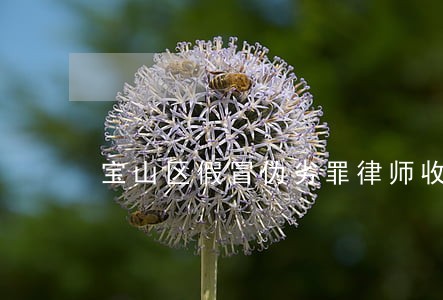 宝山区假冒伪劣罪律师收费 宝山区假冒伪劣罪律师收费