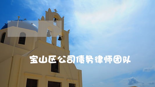 宝山区公司债务律师团队 宝山区公司债务律师团队