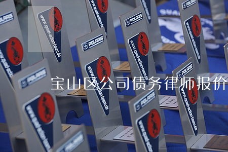 宝山区公司债务律师报价 宝山区公司债务律师报价