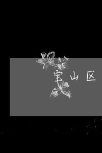 宝山区内幕交易罪律师满意服务 宝山区内幕交易罪律师满意服务