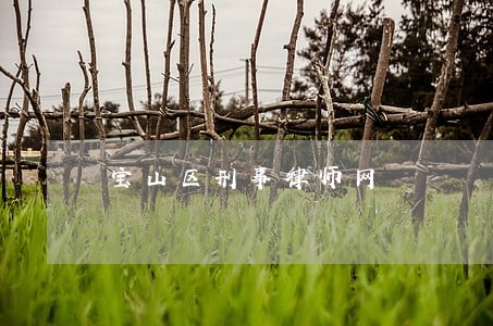 宝山区刑事律师网 宝山区刑事律师网