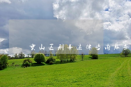 宝山区刑事法律咨询服务 宝山区刑事法律咨询服务