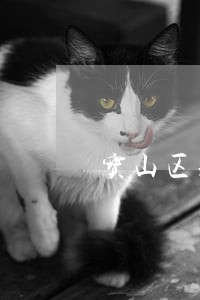 宝山区刑事法律咨询流程 宝山区刑事法律咨询流程