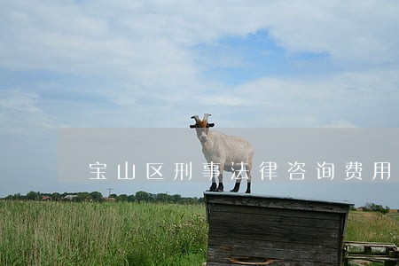 宝山区刑事法律咨询费用 宝山区刑事法律咨询费用