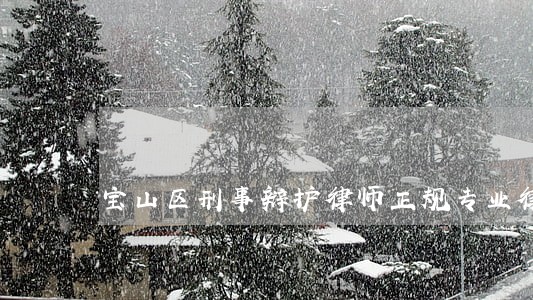 宝山区刑事辩护律师正规专业律所 宝山区刑事辩护律师正规专业律所