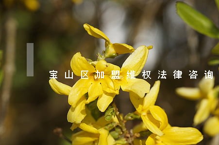 宝山区加盟维权法律咨询热线