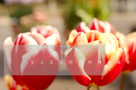 宝山区合同纠纷律师服务咨询 宝山区合同纠纷律师服务咨询