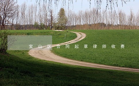 宝山区合同起草律师收费 宝山区合同起草律师收费
