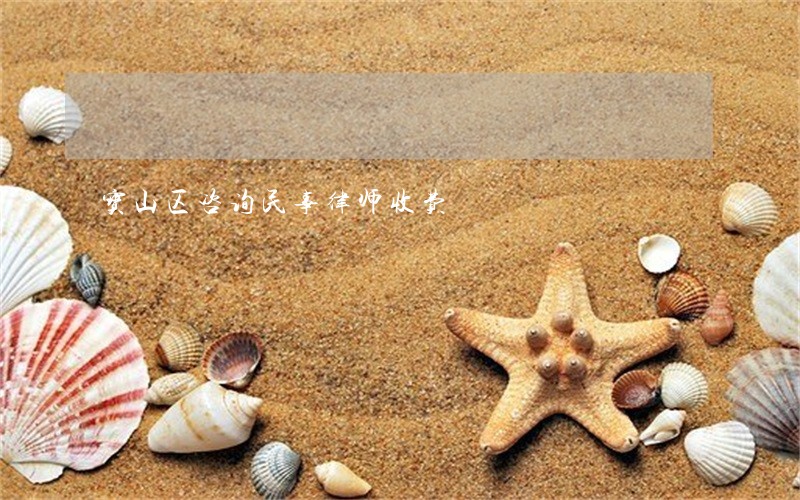 宝山区咨询民事律师收费